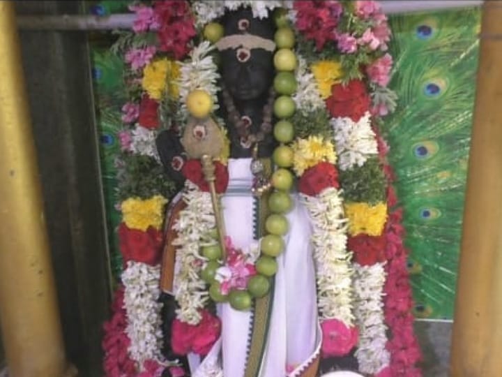 ஆவணி மாத கார்த்திகை பூஜை: ஸ்ரீ கற்பக விநாயகர் ஆலய அழகர் பாலசுப்பிரமணிக்கு சிறப்பு அபிஷேகம்