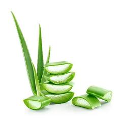 Aloe Vera For Hair : கரு கரு முடிக்கு கற்றாழையை இப்படி பயன்படுத்தி பாருங்க!
