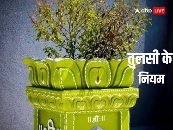 Tulsi plant in house do not do this work after the sun sets Goddess Lakshmi angry Tulsi Niyam: घर में तुलसी का पौधा है तो जान लें ये बातें, नहीं तो रूठ जाती हैं लक्ष्मी, सूर्य अस्त के बाद तो भूलकर भी न करें ये काम