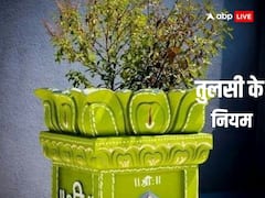 घर में तुलसी का पौधा है तो जान लें ये बातें, नहीं तो रूठ जाती हैं लक्ष्मी, सूर्य अस्त के बाद तो भूलकर भी न करें ये काम