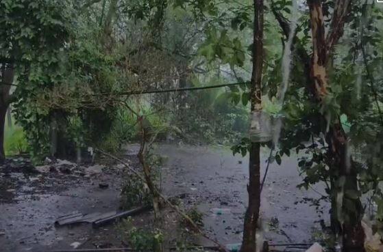 पालघर जिल्ह्यातही जोरदार पावसाला सुरुवात झाली आहे. यामुळं शेतकऱ्यांमध्ये आनंदाचं वातावरण पाहायला मिळत आहे.