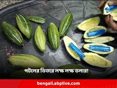 পটলের মধ্যে কয়েক লক্ষ ডলার, পাচারকারীদের অভিনব কৌশলে তাজ্জব দুঁদে অফিসাররাও