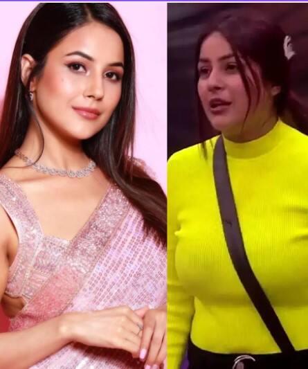 ਜਾਣੋ ਸ਼ਹਿਨਾਜ਼ ਗਿੱਲ ਦਾ ਡਾਈਟ ਪਲਾਨ