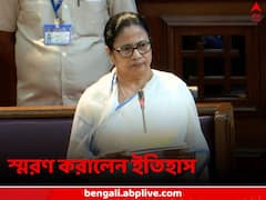 'মহাত্মার প্রাণ কেড়ে নিয়েছিলেন, দালাল বলেছিলেন নেতাজিকে, আপনারা ইতিহাস শেখাবেন'! BJP-কে তীব্র আক্রমণ মমতার