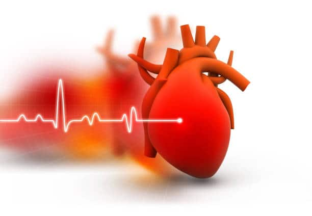 Heart Health Tips : ह्रदयाचं आरोग्य उत्तम राखण्यासाठी योग्य आहार घेणंही आवश्यक आहे.