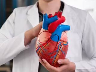 Health : ਜ਼ਿਆਦਾ ਸ਼ਰਾਬ ਪੀਣ ਨਾਲ ਕੀ ਵਧਦੇ Stroke ਦਾ ਖ਼ਤਰਾ? ਐਕਸਪਰਟ ਤੋਂ ਜਾਣੋ ਕਿਵੇਂ ਕਰ ਸਕਦੇ ਹੋ ਕੰਟਰੋਲ