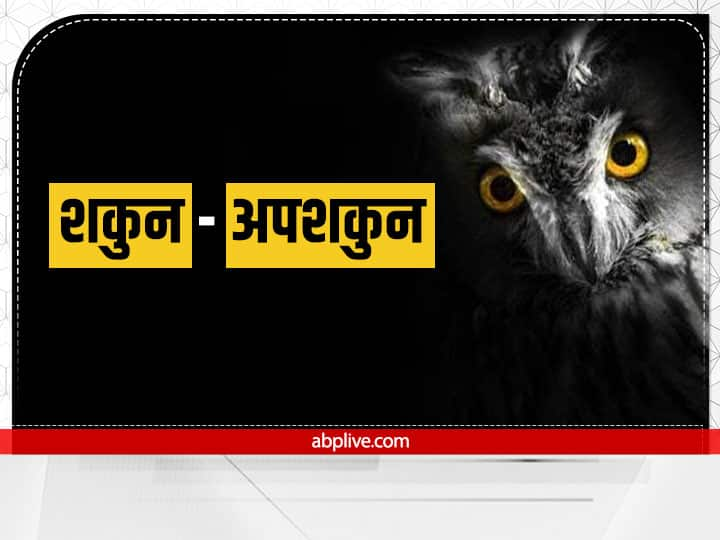 Shakun apshakun these events happening in life are considered inauspicious Shakun Apshakun: जीवन में होने वाली ये घटनाएं मानी जाती हैं अशुभ, होता है बड़ा नुकसान