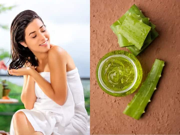 Aloe Vera For Hair :  எண்ணெய் வடியும் ஸ்கால்பை கொண்டவர்கள், வறண்ட முடியை கொண்டவர்கள், சுருட்டை முடி உள்ளவர்கள் கற்றாழையை பயன்படுத்தலாம்.