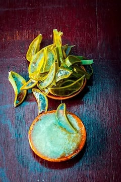 Aloe Vera For Hair : கரு கரு முடிக்கு கற்றாழையை இப்படி பயன்படுத்தி பாருங்க!