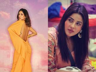 Shehnaaz Gill Transformation: बिना एक्सरसाइज के शहनाज गिल ने ऐसे कम किया था 12 किलो वजन, जानिए एक्ट्रेस का सीक्रेट डायट प्लान