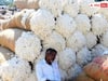 Telangana Cotton Price: భారీగా పడిపోతున్న పత్తి ధర, రెండేళ్ల క్రితం రూ.12 వేలు, ఇప్పుడు రూ.7 వేలు