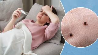 સ્ક્રબ ટાઇફસ નામના ભયંકર રોગે વધારી ચિંતા, નોંધાયા 700 કેસ, 5ના મોત, જાણો લક્ષણો