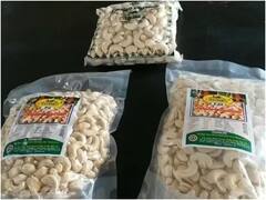 नक्सल प्रभावित बस्तर में हो रही काजू की बंपर पैदावार, हजारों परिवारों के लिए आय का बना जरिया