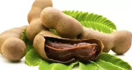 Tamarind seeds: Not only tamarind, its seeds i.e. Kuchuka are also full of properties, they work as medicine for this disease.