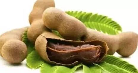 Tamarind seeds: Not only tamarind, its seeds i.e. Kuchuka are also full of properties, they work as medicine for this disease. Tamarind seeds: Not only tamarind, its seeds i.e. Kuchuka are also full of properties, they work as medicine for this disease.