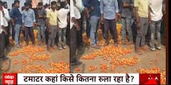 Tomato Price Hike: Surge in tomato prices creates 'havoc' for farmers; watch report | ABP News