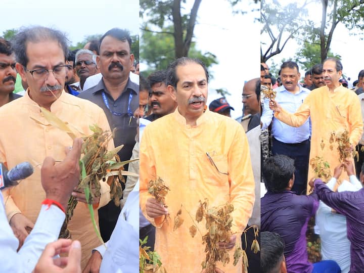 Uddhav Thackeray:  उद्धव ठाकरे आज नगर जिल्ह्यातील दुष्काळसदृश भागांची पाहणी करत आहेत.