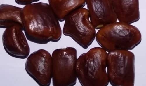 Tamarind seeds: Not only tamarind, its seeds i.e. Kuchuka are also full of properties, they work as medicine for this disease. Tamarind seeds: Not only tamarind, its seeds i.e. Kuchuka are also full of properties, they work as medicine for this disease.