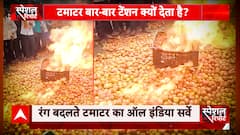 टमाटर एक रंग अनेक...कभी 200 रुपए किलो तो कभी 2 रुपए किलो भी ना बिके | Tomato price