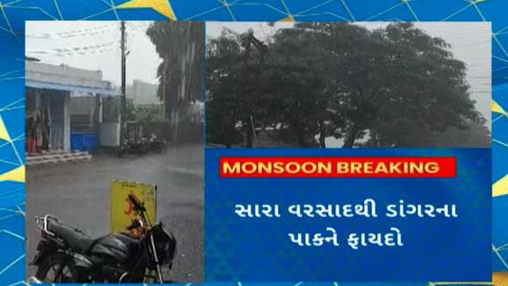 Gujarat Rain : છેલ્લા 2 કલાકમાં રાજ્યના 24 તાલુકામાં પડ્યો વરસાદ