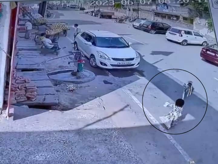 Stray Dog Attack Girl In Ghaziabad Uttar Pradesh Watch Viral Video रेबीज से बच्चे की मौत के बाद कुत्ते के काटने का ये पुराना VIDEO हो रहा वायरल, बीच सड़क में नोचने लगा बच्ची का सिर