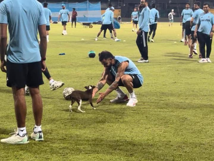 Watch: Virat Kohli was seen having fun with Doggy before the match against Pakistan, video viral