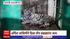 Chhatrapati Sambhaji Nagar:सिद्धार्थ उद्यानातील पांढऱ्या अर्पिता वाघिणीनं दिला तीन बछड्यांना जन्म