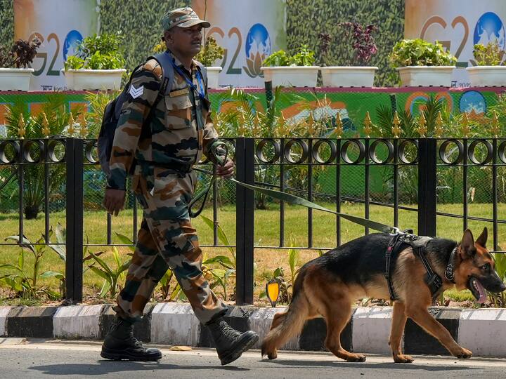 Security personnel with a sniffer dog patrol the Pragati Maidan area where the G20 Summit will take place. Security forces will be maintaining a hawk-eye vigil during the summit with the assistance of over 50,000 personnel, K9 dog squads, and mounted police. (Source:PTI)