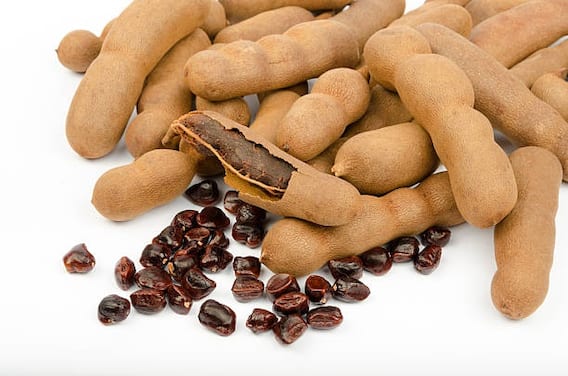 Tamarind seeds: Not only tamarind, its seeds i.e. Kuchuka are also full of properties, they work as medicine for this disease. Tamarind seeds: Not only tamarind, its seeds i.e. Kuchuka are also full of properties, they work as medicine for this disease.