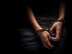 अमेरिका में 60 करोड़ डॉलर अवैध लेनदेन करने वाले गिरोह का भंडाफोड़, चार भारतीयों समेत पांच गिरफ्तार