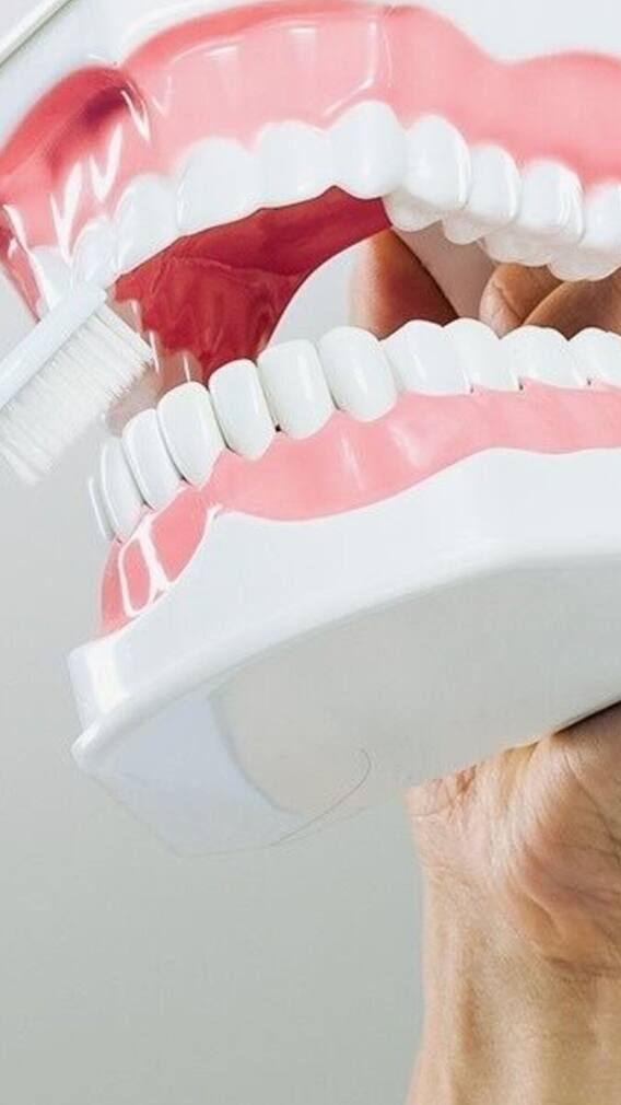 দাঁত থাকতে 'মর্যাদা' দিন! যত্ন নেওয়ার ১০ উপায়