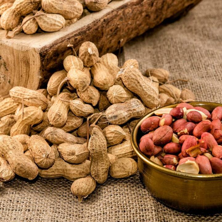 ਇਹ ਸਿਰਫ ਨੁਕਸਾਨਦੇਹ ਨਹੀਂ ਹੈ,  ਮੂੰਗਫਲੀ ਵਿੱਚ ਵੱਡੀ ਮਾਤਰਾ ਵਿੱਚ ਪੌਲੀਅਨਸੈਚੁਰੇਟਿਡ ਫੈਟ ਹੁੰਦਾ ਹੈ। ਇਹ ਕੋਲੈਸਟ੍ਰੋਲ ਨੂੰ ਘਟਾ ਕੇ ਦਿਲ ਨੂੰ ਸਿਹਤਮੰਦ ਰੱਖਦਾ ਹੈ।