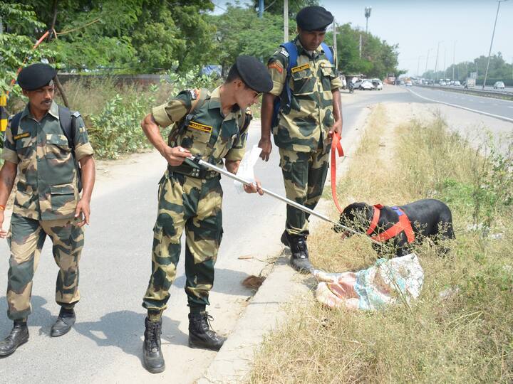 A sniffer dog checks the Delhi-Gurugram border near Sirhaul Toll Plaza on Thursday ahead of the G20 Summit. (Source:PTI)