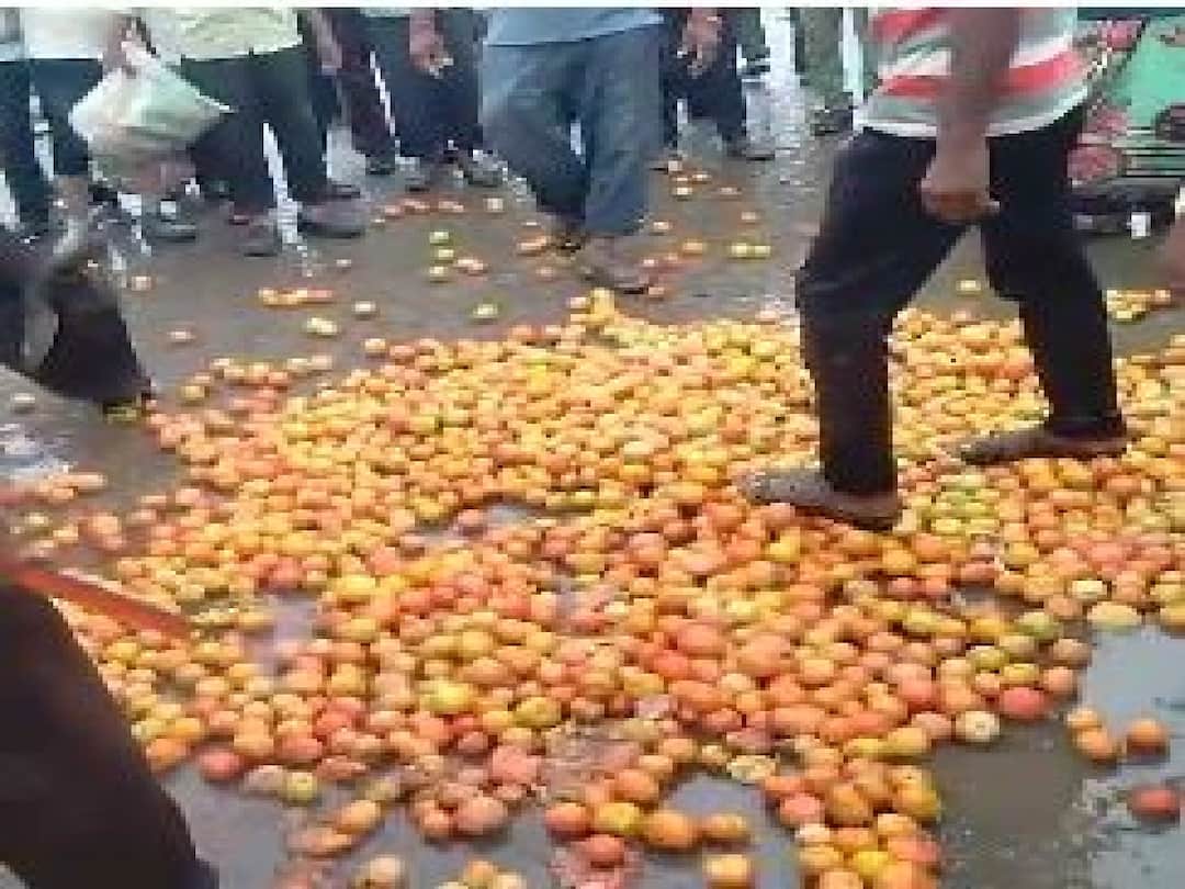 Tomato Price : 200 रुपये किलोनं विकणारं टोमॅटो दोन रुपयांवर, शेतकरी आक्रमक; रस्त्यावर केला 'लाल चिखल' agriculture news Price of tomatoes has fallen Aggressive farmers Tomato Price : 200 रुपये किलोनं विकणारं टोमॅटो दोन रुपयांवर, शेतकरी आक्रमक; रस्त्यावर केला 'लाल चिखल'