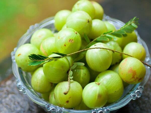 Side Effects of Amla: ਆਂਵਲਾ ਇੱਕ ਪੌਸ਼ਟਿਕ ਫਲ ਹੈ ਜੋ ਕਈ ਸਿਹਤ ਲਾਭ ਪ੍ਰਦਾਨ ਕਰਦਾ ਹੈ ਪਰ ਫਿਰ ਵੀ ਇਹ ਕੁਝ ਲੋਕਾਂ ਨੂੰ ਨੁਕਸਾਨ ਪਹੁੰਚਾ ਸਕਦਾ ਹੈ। ਜਾਣੋ ਕਿਹੜੇ ਲੋਕਾਂ ਨੂੰ ਆਂਵਲਾ ਨਹੀਂ ਖਾਣਾ ਚਾਹੀਦਾ।