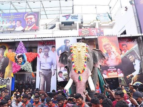 இதில் முன்னாள் கிரிக்கெட் ஜாம்பவான், கபில் தேவும் சிறப்பு தோற்றத்தில் நடித்துள்ளார்.