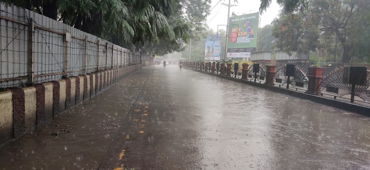 Nashik Latest News Heavy rains in district including Nashik city since night relief to farmers Maharashtra News Nashik Rain : दिलासा! नाशिकसह जिल्ह्यात पावसाचे दमदार कमबॅक, रात्रीपासून जोरदार, शेतीपिकांना जीवदान 