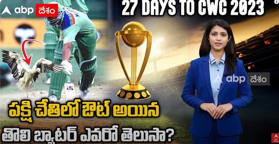 1992 World Cup Jonty Rhodes Runs Out Inzamam-ul-Haq: తన సత్తా ఏంటో ప్రపంచానికి చూపిన జాంటీ