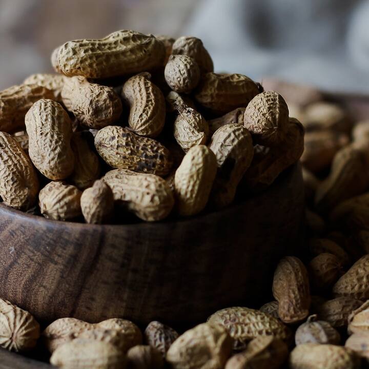Peanuts:  ਸਵਾਦ ਨਾਲ ਖਾਣ ਵਾਲੀ ਮੂੰਗਫਲੀ ਜਾਨ ਵੀ ਲੈ ਸਕਦੀ ਹੈ, ਜਾਣੋ ਕੀ ਨੇ ਕਾਰਨ