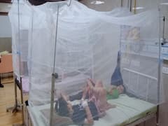 कोटा में डेंगू से अबतक 6 लोगों की मौत, अस्पतालों में जगह पड़ने लगी कम, जानें आकड़े