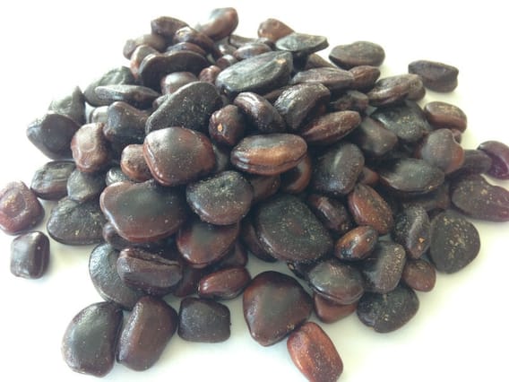 Tamarind seeds: Not only tamarind, its seeds i.e. Kuchuka are also full of properties, they work as medicine for this disease. Tamarind seeds: Not only tamarind, its seeds i.e. Kuchuka are also full of properties, they work as medicine for this disease.