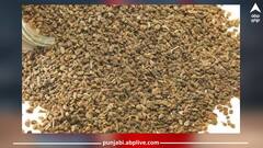 Health News: ਪੇਟ ਦਰਦ ਅਤੇ ਗੈਸ ਦੀ ਸਮੱਸਿਆ ਹੋਵੇਗੀ ਦੂਰ, ਗੁਣਾਂ ਨਾਲ ਭਰਪੂਰ ਘਰ 'ਚ ਰੱਖਿਆ ਇਹ ਮਸਾਲਾ