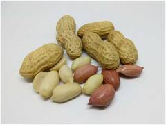 ఈ సమస్యలు ఉన్నవారు మొలకెత్తిన పల్లీలు తింటే మేలు