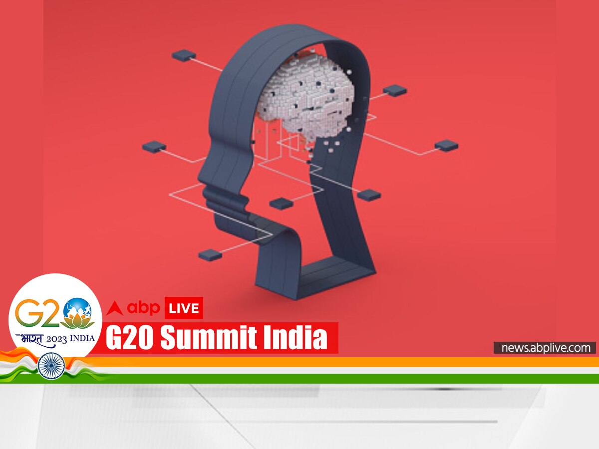 G20 Summit 2023 New Delhi Leaders Declaration AI Artificial Intelligence Statement Regulation Risk Narendra Modi