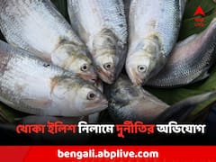 খোকা ইলিশ নিলামে দুর্নীতি মৎস্য দফতরে? অস্বীকার অভিযোগ
