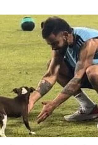 ਵਿਰਾਟ ਕੋਹਲੀ Dog ਨਾਲ ਲਾਡ ਲੜਾਉਂਦੇ ਨਜ਼ਰ ਆਏ