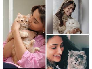 A Look At Bollywood Actresses And Their Adorable Cat Companions