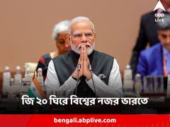 দিল্লি ডিক্লারেশনে সিলমোহর, উঠল যুদ্ধের প্রসঙ্গ, জি ২০ ঘিরে বিশ্বের নজর ভারতে