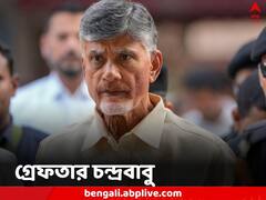 কোটি কোটি টাকা হাতানোর অভিযোগ, দুর্নীতি মামলায় গ্রেফতার অন্ধ্রপ্রদেশের প্রাক্তন মুখ্যমন্ত্রী চন্দ্রবাবু