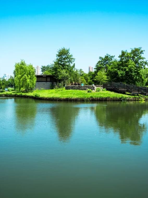 दुनिया के इन देशों में नहीं एक भी नदी